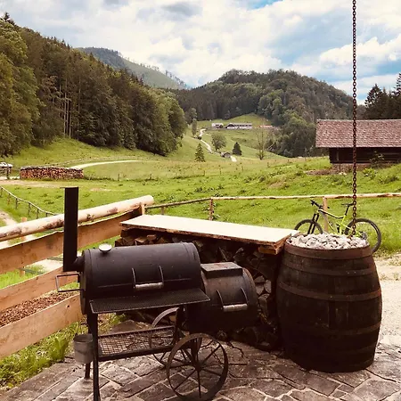 Ferienhaus Hochsteinalm * Traunkirchen