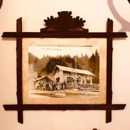 Tatil Evi Ferienhaus Hochsteinalm *