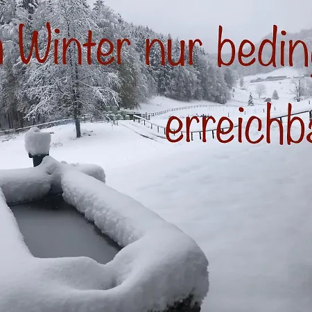 Tatil Evi Ferienhaus Hochsteinalm *
