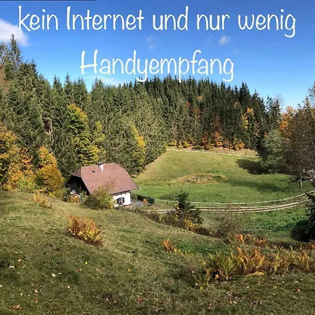 Ferienhaus Hochsteinalm Tatil Evi